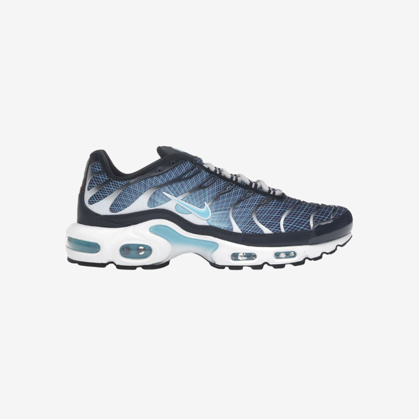 Nike Air max plus Obsidienne