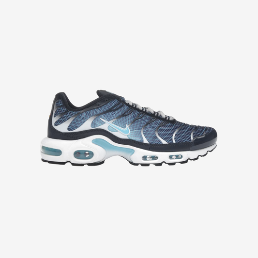 Nike Air Max Plus Obsidian